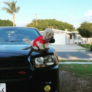 Meet your Posher, Edgar